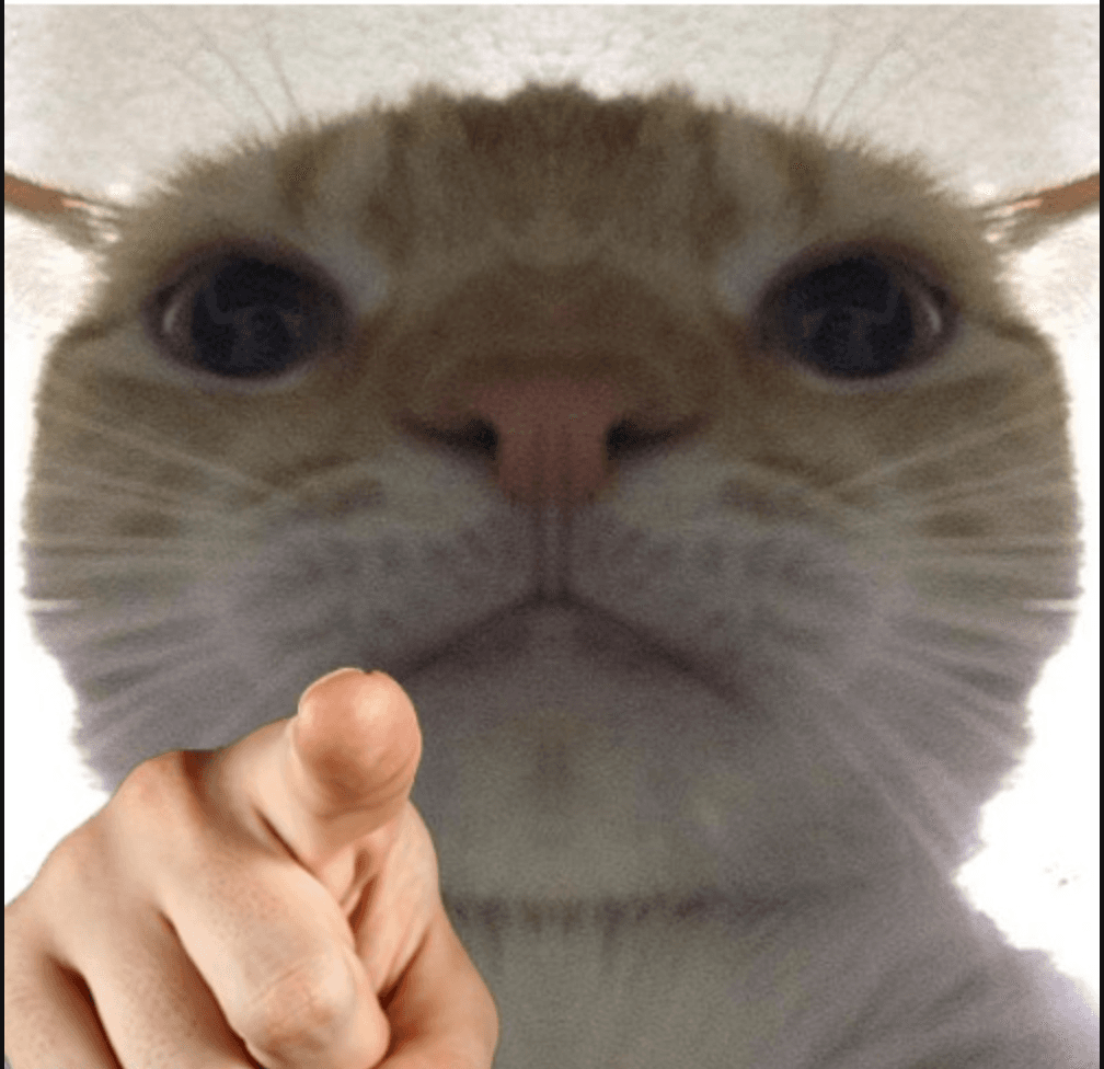 Screenshot of Your Project